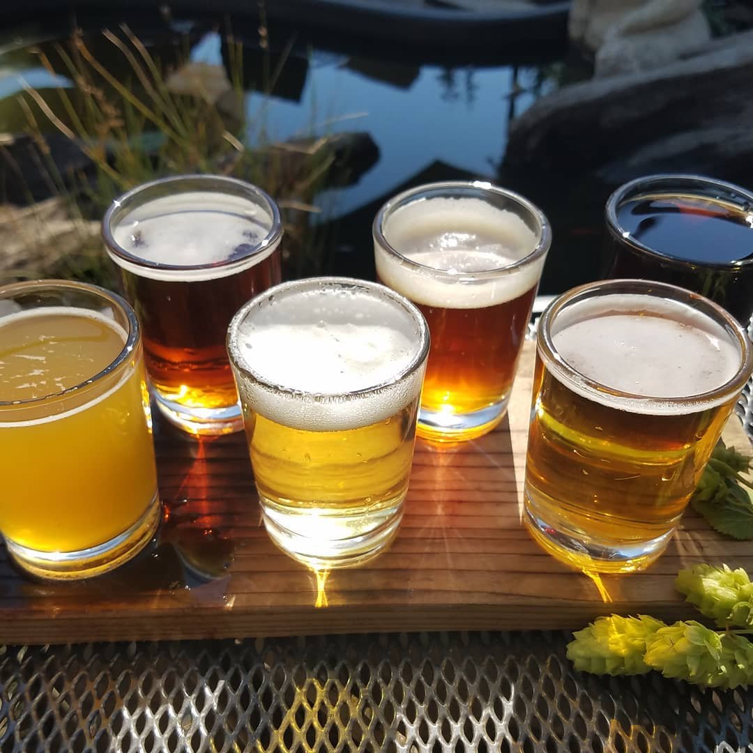 Tasting glasses of different beers from 192 Brewing near Bothell, Washington.