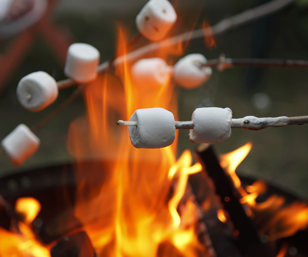 Roasting marshmallows over the campfire at Money Creek Campground in Bothell, WA.