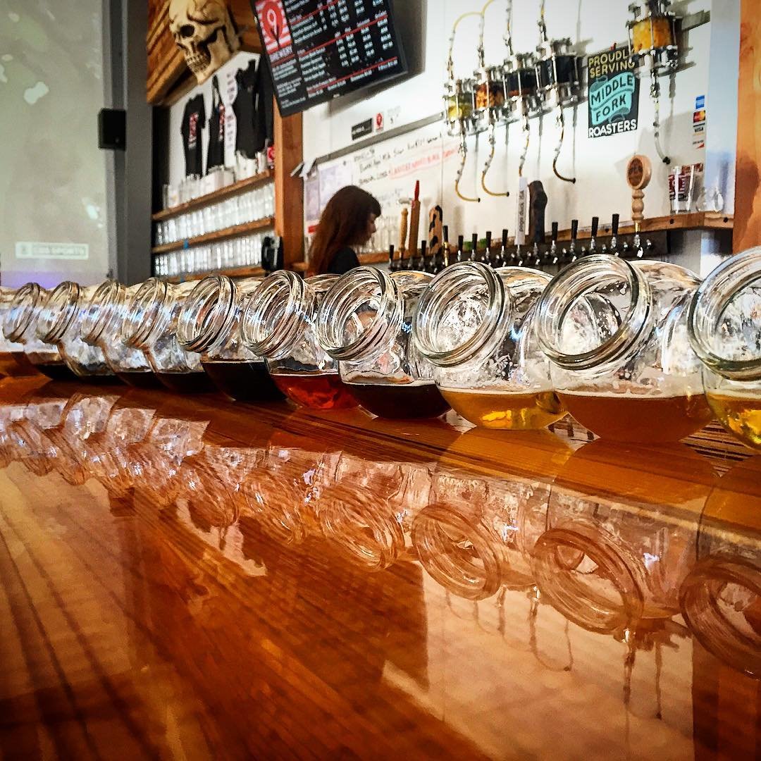 Bowls filled with beer on the bar at Nine Yards Brewing near Bothell, Washington.