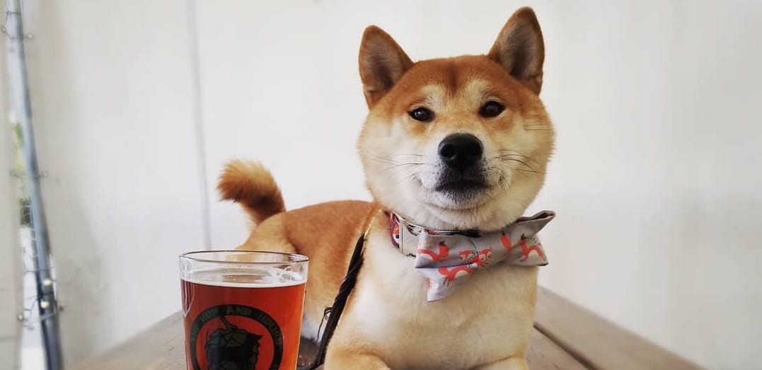 Good Times are Brewing at Bothell’s Craft Breweries Begin at Bothell