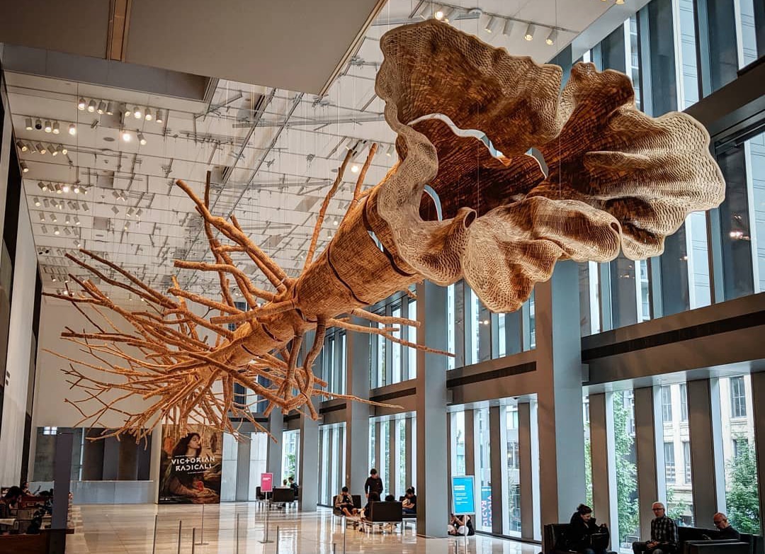 A tree sculpture hanging from the ceiling at the Seattle Art Museum near Bothell.