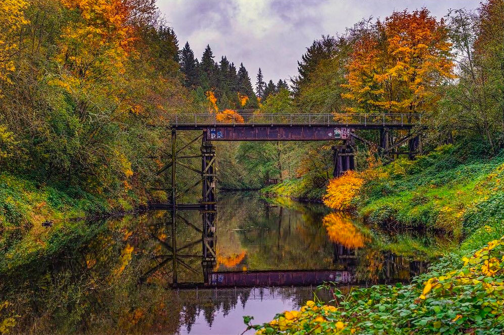 bothell-play-blyth-park-bridge-over-river-fall-colors-on-trees